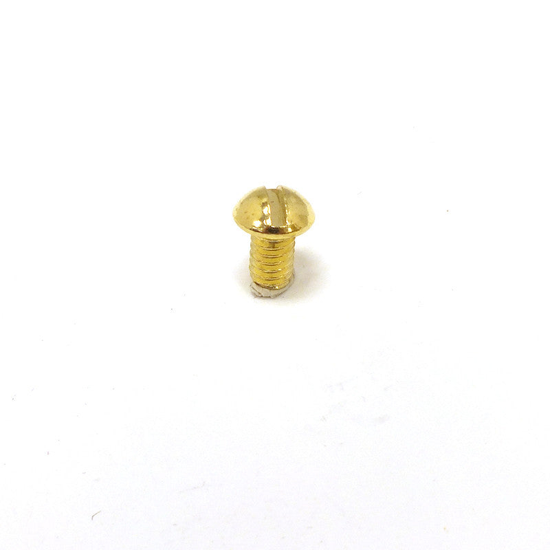 3/16" Brass Plated Screw, 8/32 Thread
